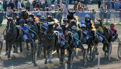 Viisi indiebändiltä kuulostavaa ravihevosta