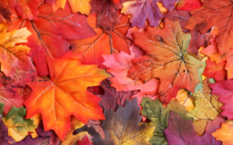 Kun saapuu syys – 44 laulua kirpeisiin, pimeneviin syysiltoihin