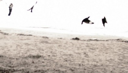 Minikritiikit, viikko 29