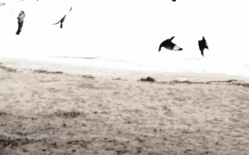 Minikritiikit, viikko 29