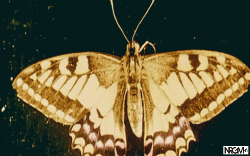 Infinite zzzzz by Iida Sofia Hirvonen