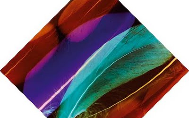 Wild Beasts – Smother 
