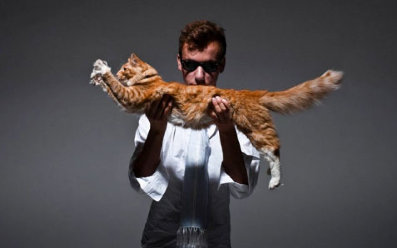 Small talk: vieraana Wolf Gang